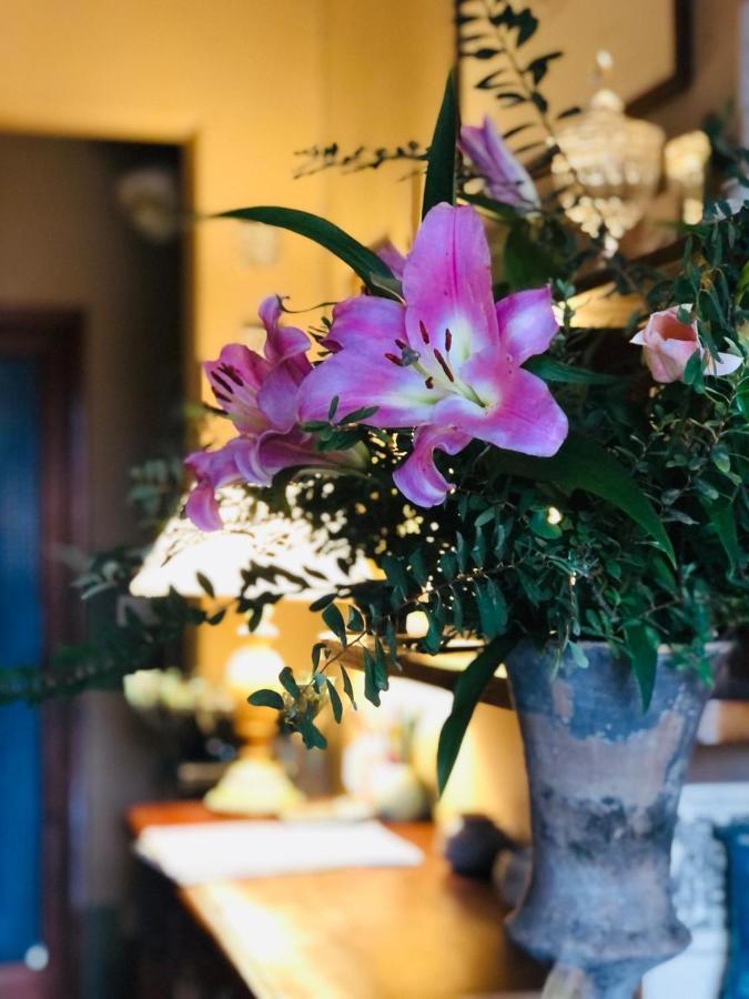 Casa Cambini Bed & Breakfast Marina di Massa Ngoại thất bức ảnh