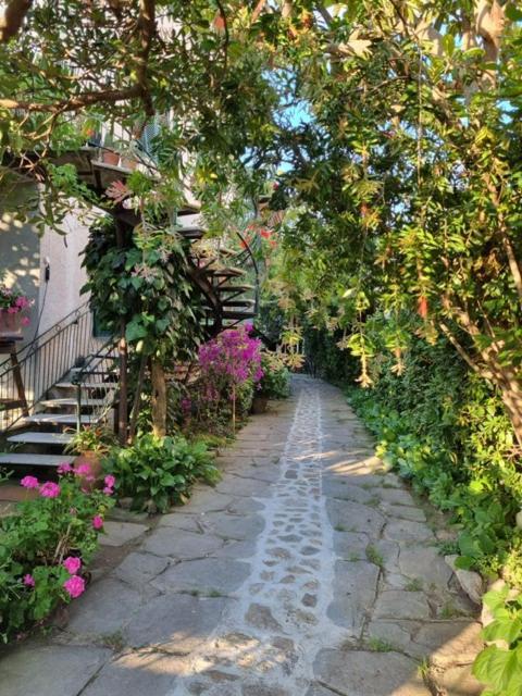 Casa Cambini Bed & Breakfast Marina di Massa Ngoại thất bức ảnh