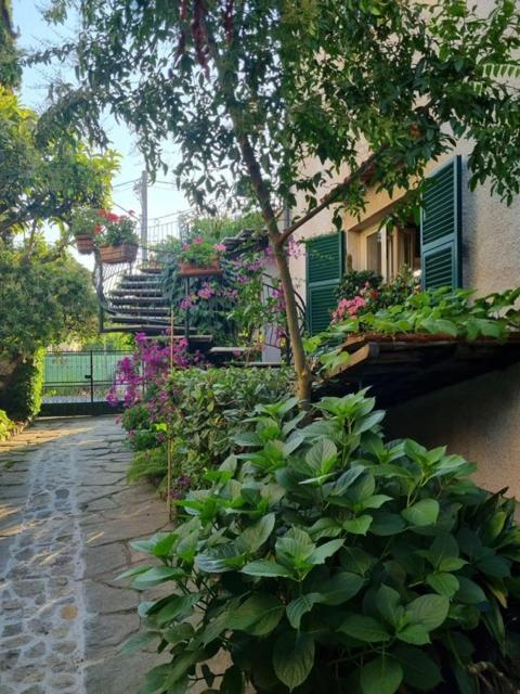 Casa Cambini Bed & Breakfast Marina di Massa Ngoại thất bức ảnh